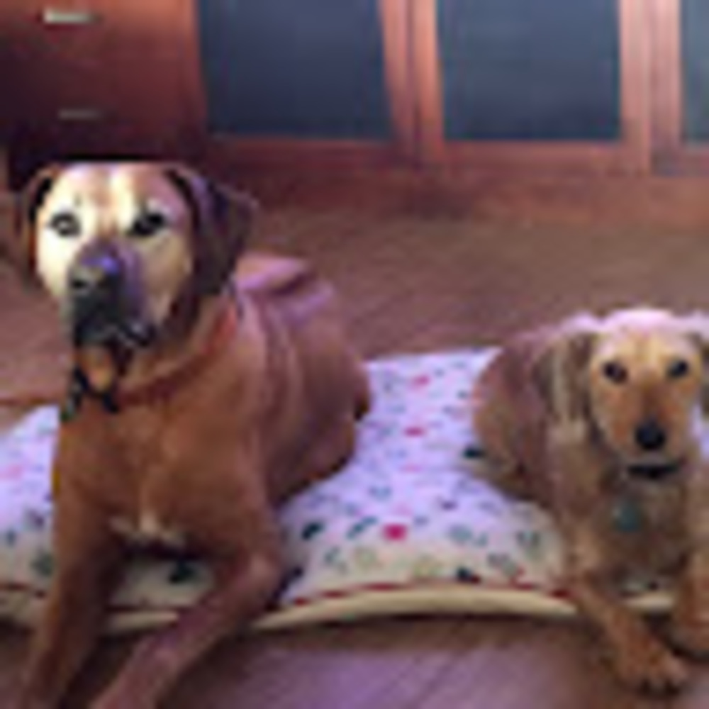 Meet your Posher, Mayumi